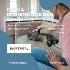 Opieka dochodząca nad kotem