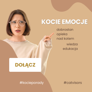 Kocie emocje