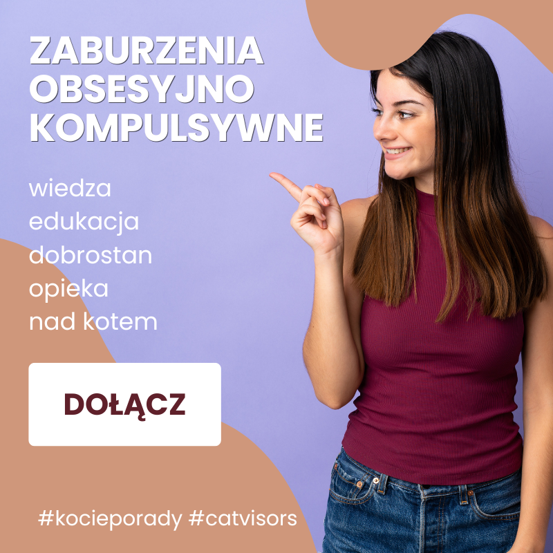 Zaburzenia obsesyjno kompulsywne Zaburzenia obsesyjno kompulsywne