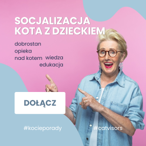 Socjalizacja kot z dzieckiem