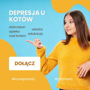 Depresja u kotów