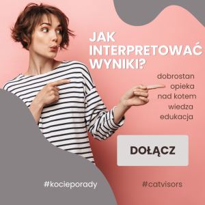 Jak interpretować wyniki?