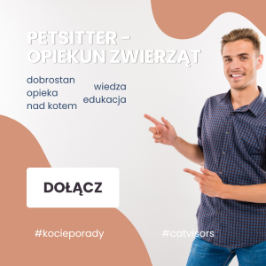 Petsitter - opiekun zwierząt