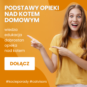 Podstawy opieki nad kotem domowym