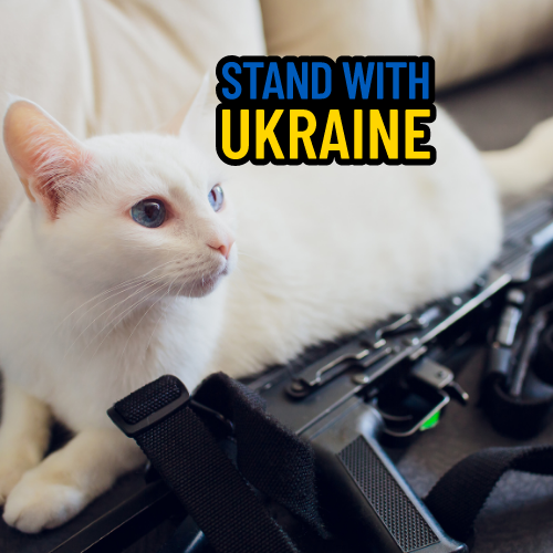 Świadoma pomoc – gdy przygarnę zwierzę z Ukrainy