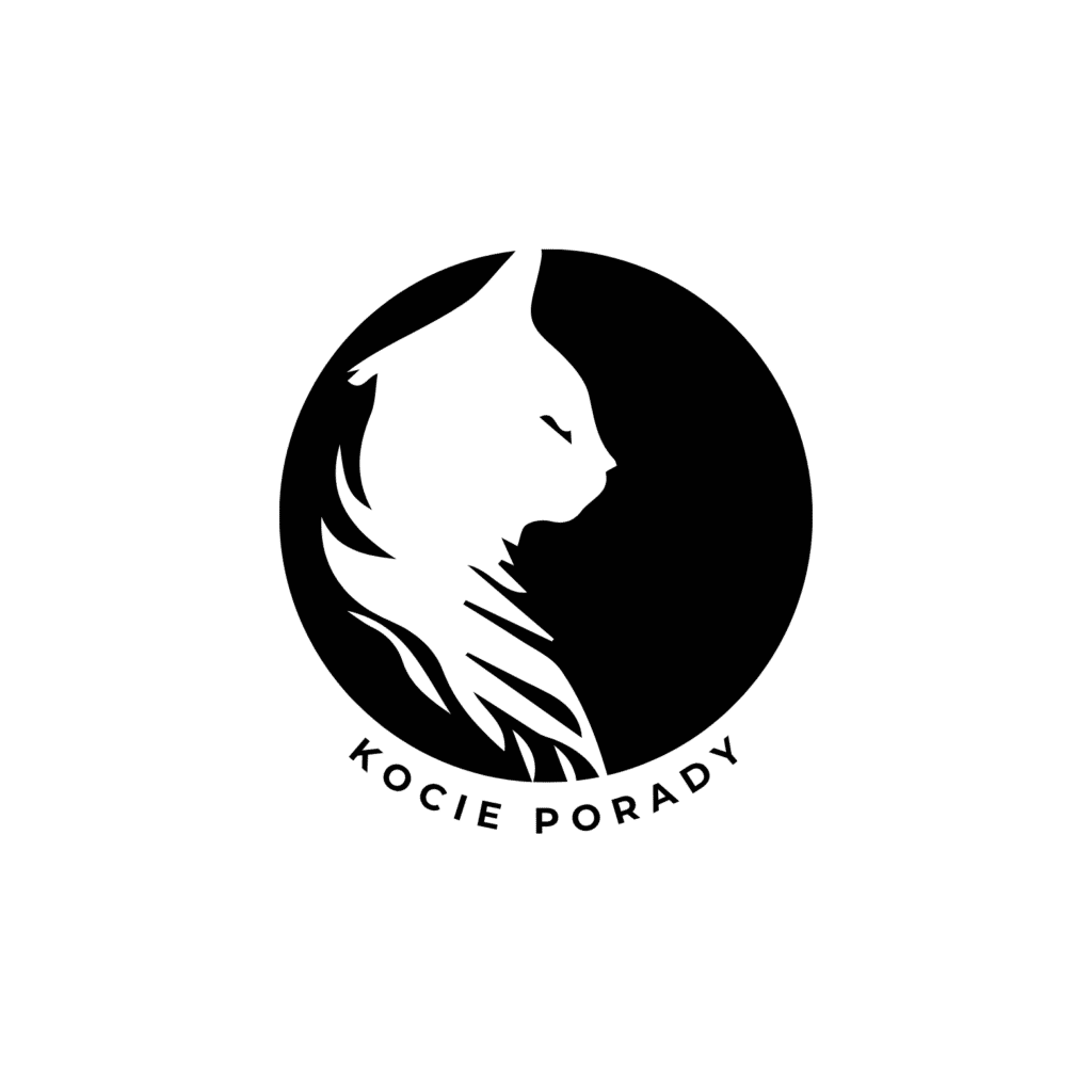 kocie porady