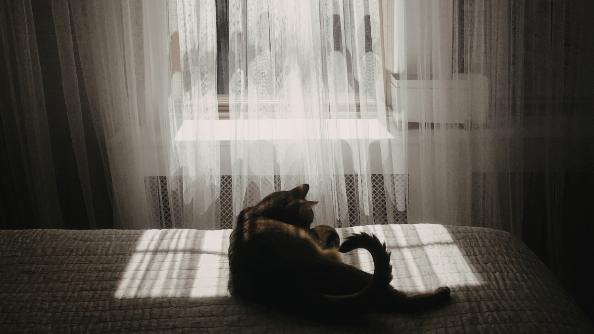 Kiedy izolacja pomaga