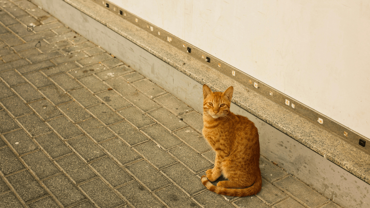 Точно вернётся