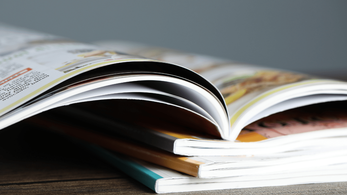 koty wolno żyjące prawo i ekologia