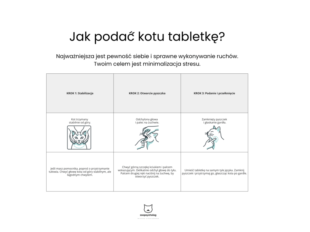 Jak podać kotu tabletkę? Jak podać kotu tabletkę?