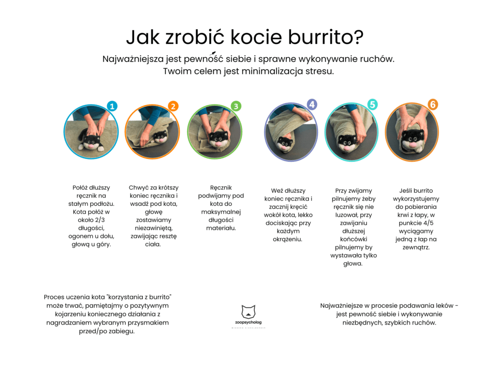 Jak zrobić kocie burrito? Jak zrobić kocie burrito?