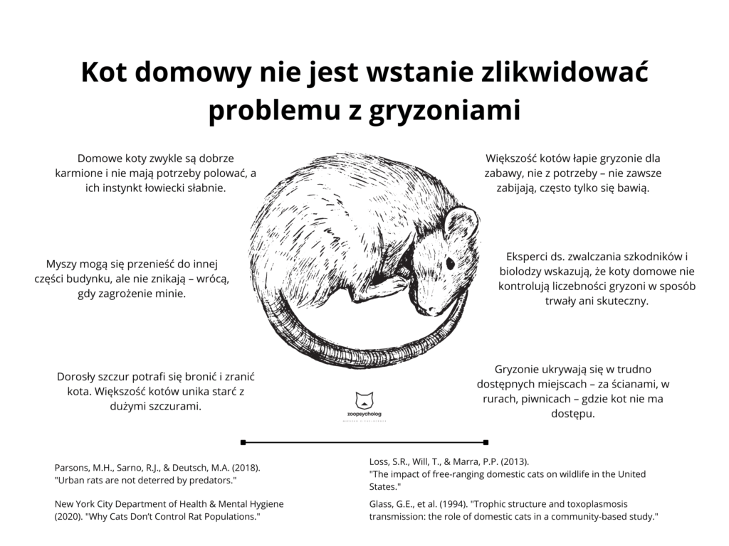 Kot domowy nie jest wstanie zlikwidować problemu z gryzoniami
