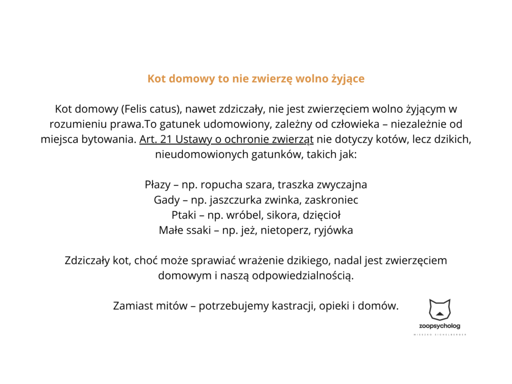 Kot domowy to nie zwierzę wolno żyjące