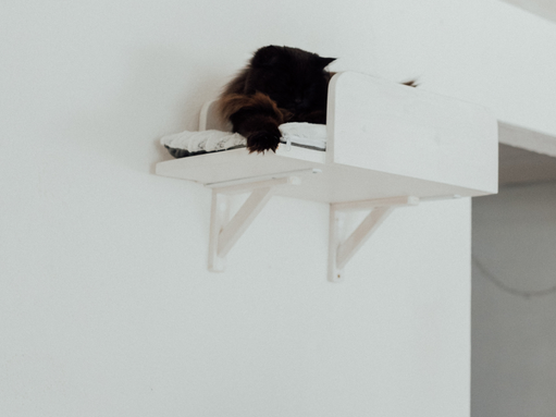 Kotyfikacja przestrzeni