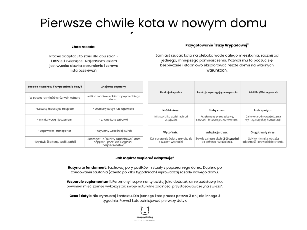 Pierwsze chwile kota w nowym domu Pierwsze chwile kota w nowym domu