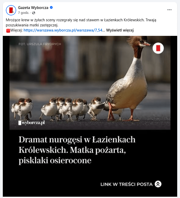 wpływ kota na dziką przyrodę