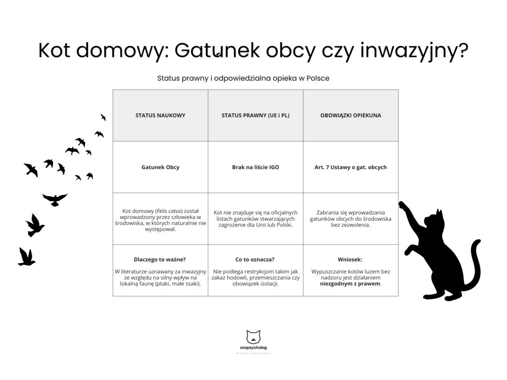 mycie zębów (1)